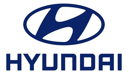 Tanque Radiador Hyundai Santa Fe 2000 - 2006 Inferior Salida Foto 3
