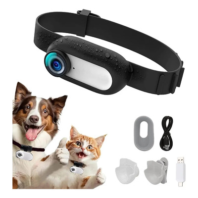 Cámara Collar Vídeo Dv Mini 1080p Hd Para Gato Perro Mascota | Meses sin interés