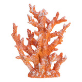 Artesanía De Adornos De Coral De Agua Dulce