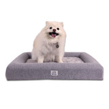 Cama Perro Mascota Pet2go® Ortopédica - Cozy Chica 60x45