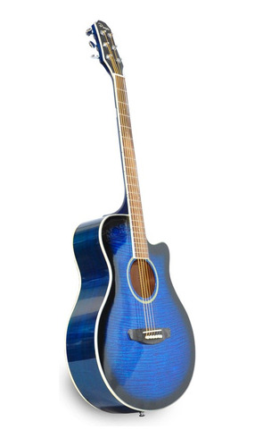 Guitarra Electro Acustica Parquer Gac109mcbl Funda Pua Cd