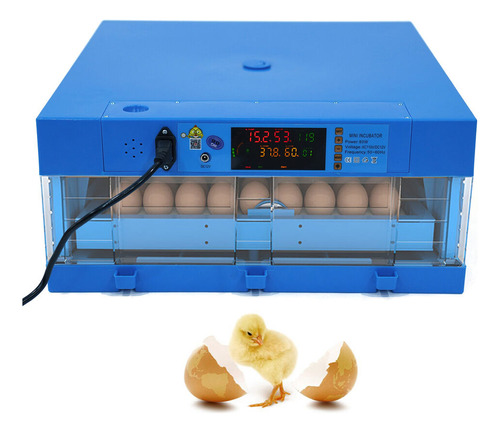 Incubadora De Huevos De Codorniz Incubadora Automática