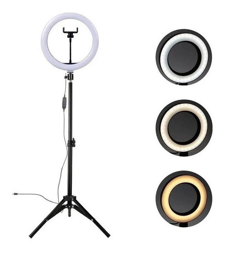 Ring Light Iluminador Led 12 Polegadas 30cm + Tripé 210cm Cor Da Estrutura Preto Cor Da Luz Branco-frio 110v/220v