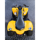 Can Am 250 Ds-poco Uso-
