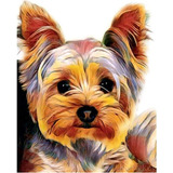 5d Diamond Painting Kit Pintura Diamante 5d Perro