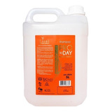 Lisse Pro To Day Shampoo Revigorante 5l Profissional