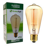 Lâmpada Filamento De Carbono St64 40w 110v E27 Retrô Vintage Decorativa Branco Quente - Green Age