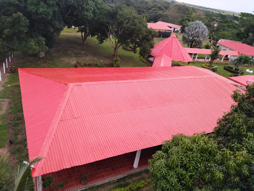 Se Vende Finca Criadero Ganado Brahman Cruce Con Senepol