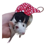 Vestido Pet Minie Para Rato Twister + Orelhinha