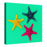 Cuadro Decorativo Canvas Moderno Conjunto Estrellas De Mar