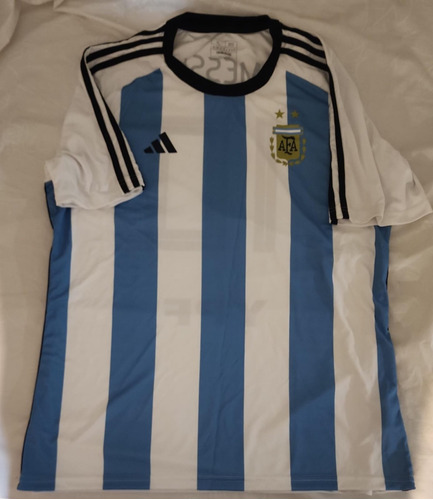 Camiseta Seleccion Argentina N° 10 Ypf Talle Xl