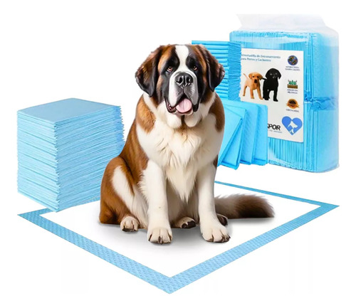 40 Pañales Sabanillas Mascotas Perros Y Gatos 90x60cm Marca Aspor Excelente Absorcion 3 Capas Secado Rapido Adiestramiento Baño Entrenamiento Pack 40 Unidades Superficie Acolchada Retiene Liquidos