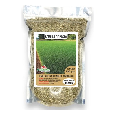 Semilla De Pasto Ingles Ryegrass 500 Gramos Rinde 15 Mts2 | MercadoLibre