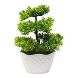 Bonsai Artificial - Mini Folhas - Arvore - Vaso Artificiais