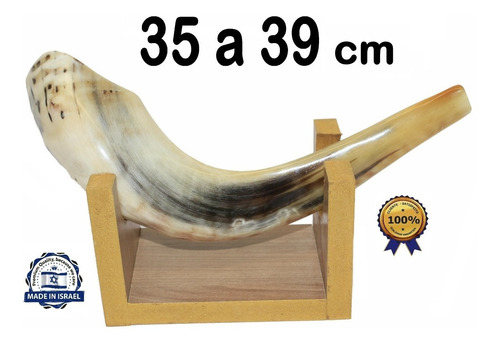 Shofar Chifre De Carneiro De Tocar Ou Ungir/unção + Suporte - Original De Israel