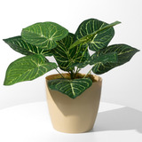 Planta Artificial Interior Con Maceta Nordica Beige 40cm