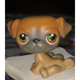 Little Pet Shop Hasbro Modelo 145 Pug # 1221