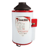 Boiler De Paso Gas Natural 4.5l 1.5 Servicios Encendido One 