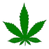 Adesivo Folha Maconh Cannabis Marijuana  Kit Com 8 