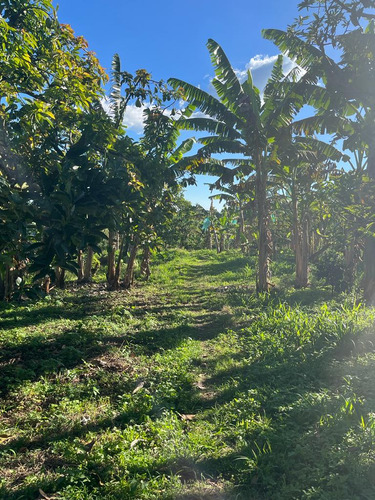 Se Vende Finca Quimbaya Quindío - Imagen 4