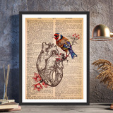 Quadro Anatomia Coração Medicina Pássaro Old Vintage A3