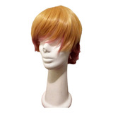 Peluca Rubia Anime Tipo Kanekalon Japones La Parti Wigs!