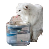 Gatos Con Sensor Para Fuente De Agua Transparente Para