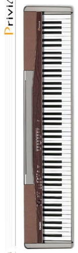 Piano Electrico Casio Privia Px-100