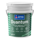 Membrana Liquida Techo Poliuretanica Quantum 10 Kg Sherwin  