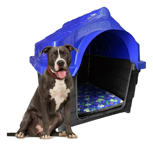 Casinha Plastica Cachorro Numero 6 Cor Azul