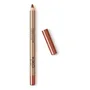 Lápiz Delineador de Labios Kiko Milano Cremoso Marrón Waterproof | Envío gratis