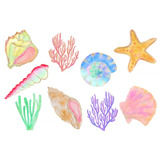 Kit De Imágenes Digitales Caracoles Corales Mar Seashell