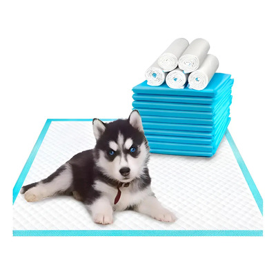 Sábanas Desechables Para Perros Lisa Azul 60x60 Cm 40u