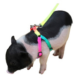 Arnes Ajustable Mini Pig Para Cerdos Y Otros Animales