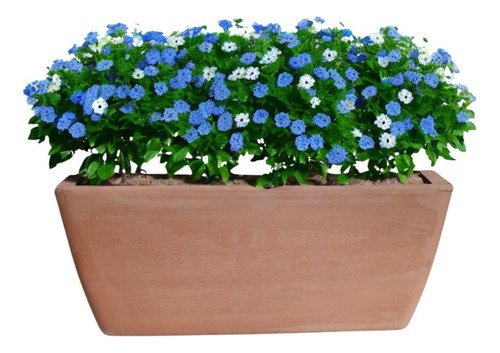 Jardinera Rectangular Garda 32cm Terrarcilla Deroma