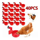 40 Pollos Con Forma De Pajarito Para Bebederos Con Frutos Se