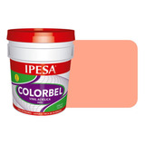 Pintura Vinílica Interior 4 Litros Colorbel 3 Años Galón Color Mamey