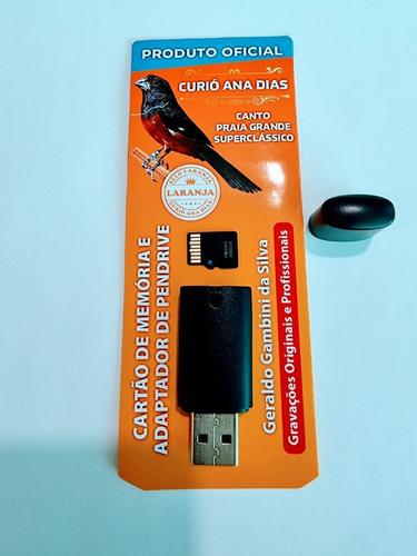 Cartão De Memória + Adp De Pen Drive Oficial Curio Ana Dias