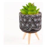 Planta Artificial 7x14cm Con Patitas Bighouse-mimbral