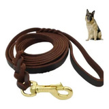 Correa De Cuero Para Perros Medianos Y Grandes 210x1.2cm