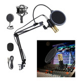 Microfono Condensador Estudio Profesional Voz Y Musica