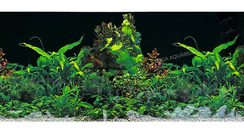 Painel Aquario Enfeite Decorativo Externo Vinil 50cm Altura 