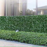 Muro Inglês Jardim Vertical Ficus 1x2 Kit C/ 5