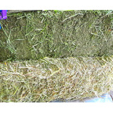 Heno De Avena Y Heno De Alfalfa Fresco Limpio Organico 2 Kg