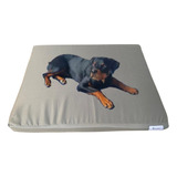 Cama Para Perro Grande Impermeable Fácil Limpieza Resistente Color Gris Claro