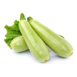 Semillas De Zucchini Para Huerta Cultivo Hortícola