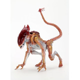 Alien 7  Scale Figures - Panther Alien (kenner Tribute)