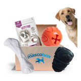 Mascobox Kit Juguetes Pelota Hueso Perros Grande Gigantes