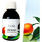 Óleo De Rícino Crescimento Sobrancelhas Puro Natural 100ml