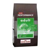 Performance Adulto X 20 Kg